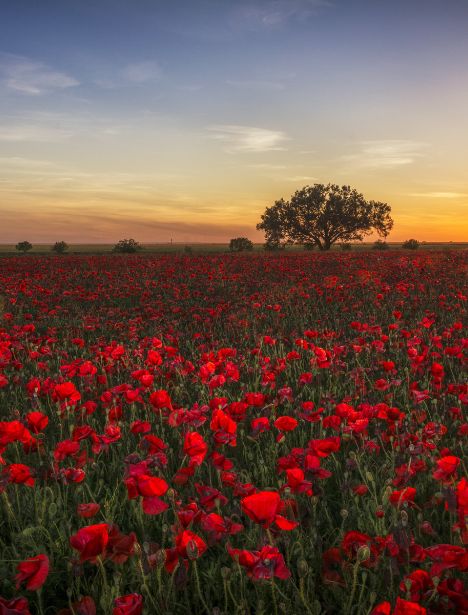 Untitled design - 2024-08-13T105723.326