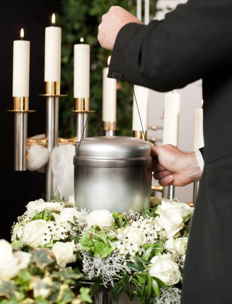 Untitled design - 2024-08-13T110850.415