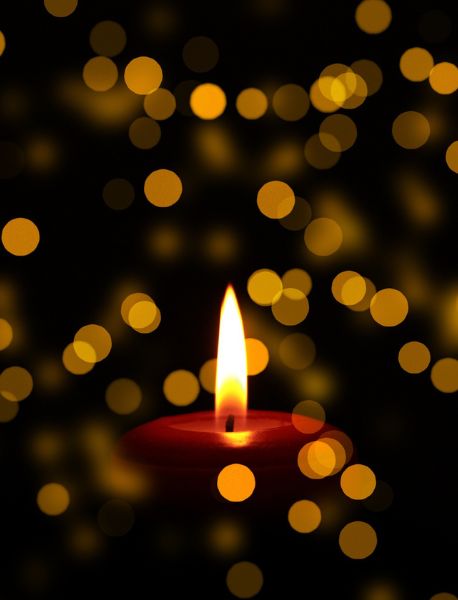 Untitled design - 2024-08-16T123903.963