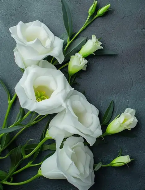 types of funerals lisianthus-flowers-funeral-floral-arrangement